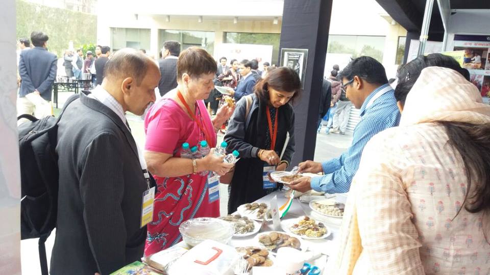Khushi exhibition at CSR summit at Jaipur